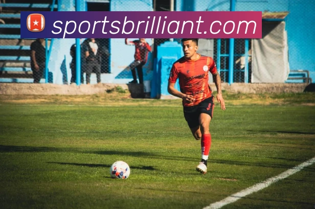 体育下注平台生态图