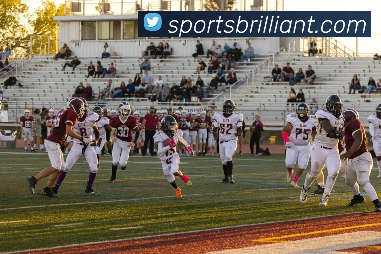 体育下注全站App